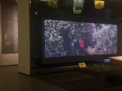-中国湿地博物馆