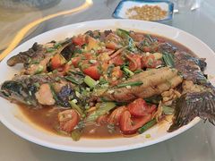 啤酒弄水鱼-生态苑农庄(十里画廊遇龙河店)