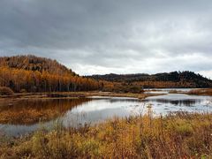 -五营红松林海景区