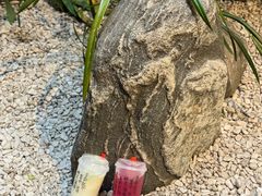 -悸动(吴泾宝龙广场店)