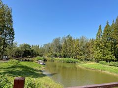 -黄海国家森林公园