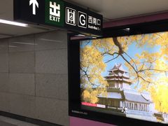 -白石桥南(地铁站)