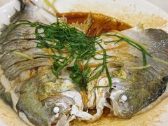 清蒸银昌鱼-覃记海鲜美食餐厅