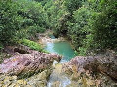 -南海湾森林生态园