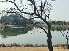 -无锡蠡湖国家湿地公园-蠡园