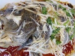 -渡海小渔村.老辈日照菜