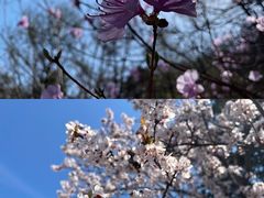 -崂山九水游览区