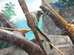 -石家庄市动物园