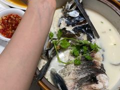 -全乐鱼馆·淳牌有机鱼直营店