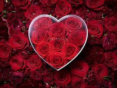 -ROSEONLY诺誓(青岛万象城店)