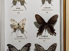 -中国湿地博物馆