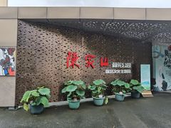 -陈家山荷花公园