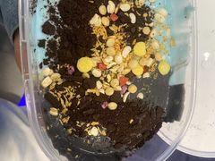 -溪边姑娘·拉丝酸奶水果捞(春熙路店)