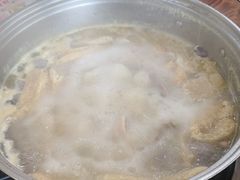 -15年老字号鑫鑫猪肚鸡·椰子鸡海南火锅(兴隆华侨农场店)