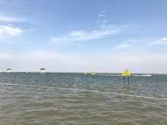 -碧海金沙