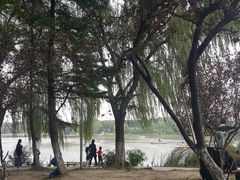 -昆山城市生态森林公园