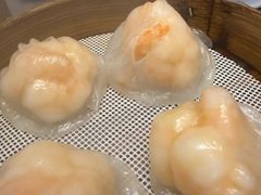 -东方御宴海鲜酒楼(棕泉酒店)