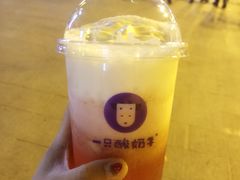 -一只酸奶牛(八一路店)
