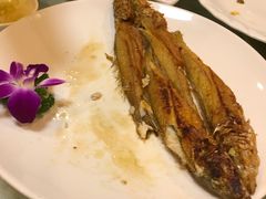 -四海之家(蛇口店)