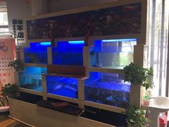 水产区-鸡毛饭堂(公安店)