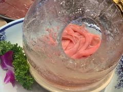 冰川鹅肠-蜀大侠火锅(建设路第五大道店)