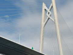 -招商蛇口邮轮母港(观光客运)