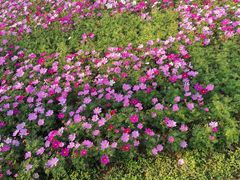 -龙凤山庄影视度假村