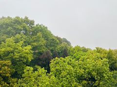 -南山植物园