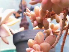 -1点点(新达汇三林店)