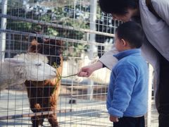 -迪茵湖田家舍生态农场