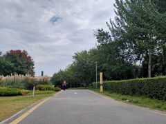 -西安浐灞国家湿地公园