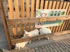 -太阳岛度假酒店