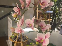 -施奈儿.洗头頭療.按摩SPA.采耳(上梅林店)