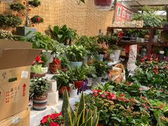 -秦美花卉(天朗·莱茵小城2期店)