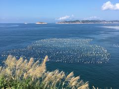 -枸杞岛