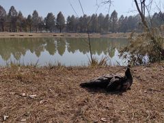 -宁波杭州湾国家湿地公园