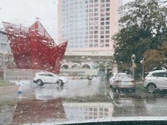 -中国福利会少年宫