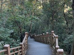 -老山国家森林公园