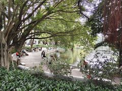-荔湾湖公园