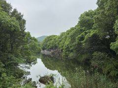 -白马涧龙池景区