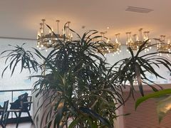 -鹿港小镇(霄云店)