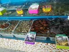 -港畔赶海蒸汽海鲜烧烤自助(仙螺岛店)
