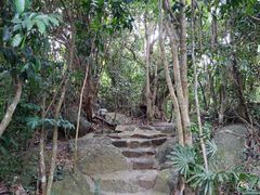-三亚亚龙湾人间天堂鸟巢度假村