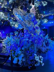 -格乐利雅婚礼艺术中心(南外滩店)