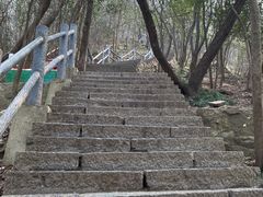 -紫金山山顶公园