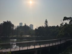 -四海公园(南山区)