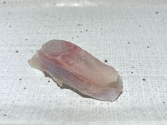 -镹·鱼料理  国产鱼使用店