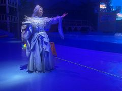 -海合安武汉极地海洋公园