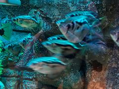 -沈阳海洋探索中心