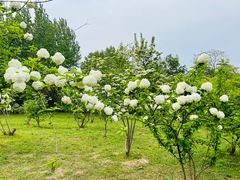 -蜀冈西峰生态公园